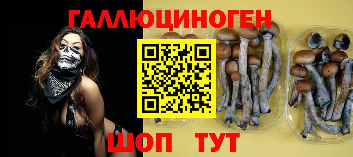 Галлюциногенные грибы прущие грибы  Вход с VPN  Губкин 
